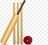 cricket.png